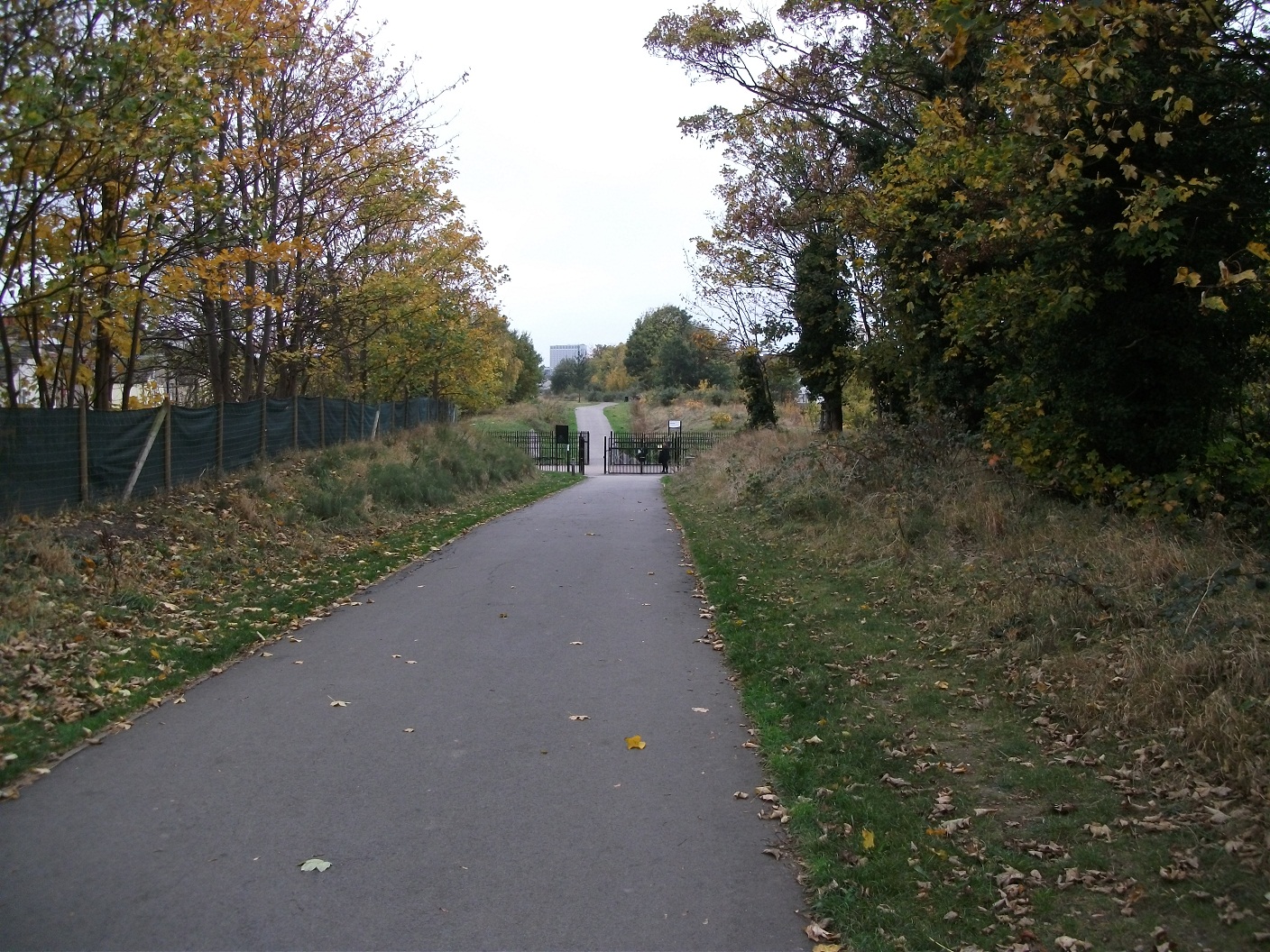 Autumn 2011